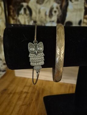 Owl Charm Bracelet and Textured Bangle Set - Silver and Gold Tones